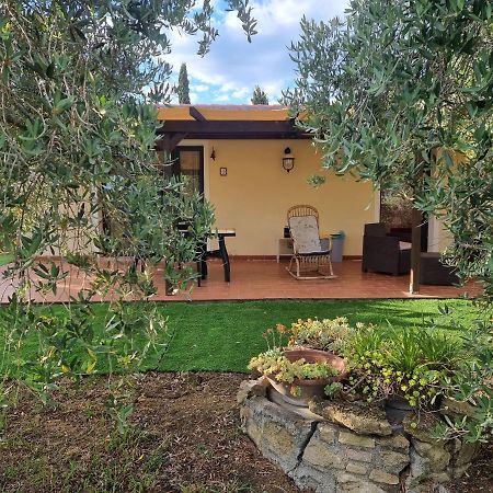 Villa Vigna Lontana Montescudaio Exterior foto
