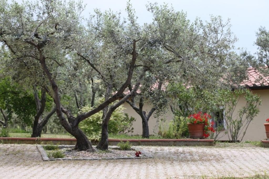 Villa Vigna Lontana Montescudaio Exterior foto